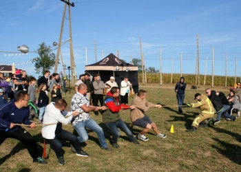 Chmielobranie_fot_Filipiak