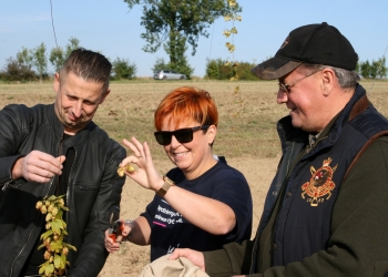 Chmielobranie_fot_Filipiak