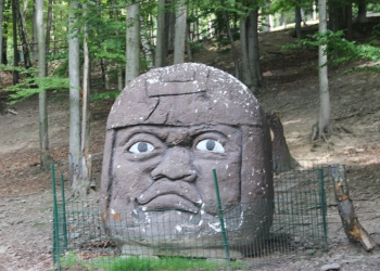 Wycieczka do Leśnego Parku Niespodzianek 