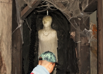 Wycieczka do parku rozrywki Twin Pigs 10.08.2022r.