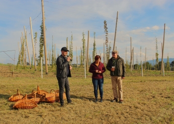 Chmielobranie w Iskrzyczynie 24.09.2022