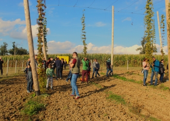 Chmielobranie w Iskrzyczynie 24.09.2022