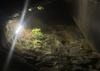 Podziemny Spływ Sztolnią Królowa Luiza – 18 lipca 2025 r.  