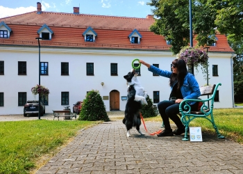 Zdjęcia uczestników konkursu "Selfie z marką Śląsk Cieszyński" Edycja V