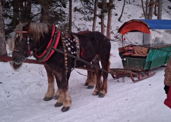 PHOTO-2026-01-23-13-26-59