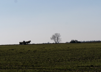 PHOTO-2026-03-08-11-50-13