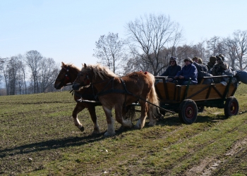 PHOTO-2026-03-08-11-50-15