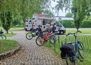 Przegląd zespołów rockowych (11)