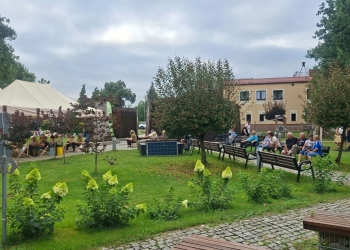 Przegląd zespołów rockowych (20)