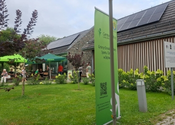Przegląd zespołów rockowych (25)