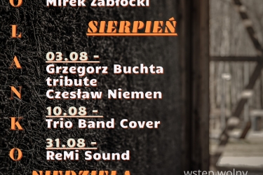 Solankowe Brzmienia, czyli Muzyczne Popołudnia przy Tężni