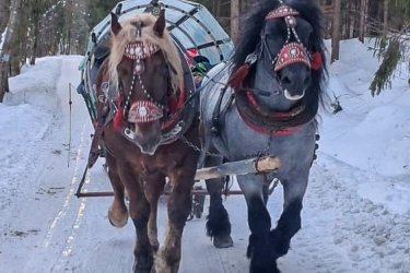 Kulig Koła Turystycznego przy GOKSiT w Łączce