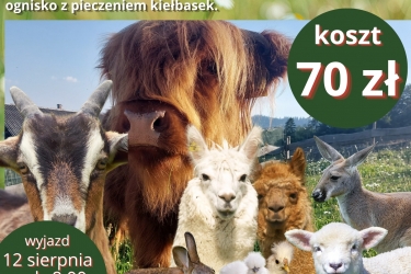 Wakacyjna wycieczka do Farmy „Na Kopcu” w Wiśle! 