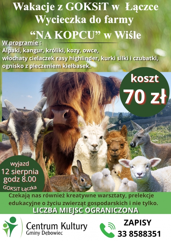 Zdjęcie